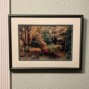 Seattle Arboretum "A walk in the woods"